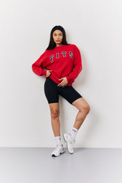 Red Crew Neck Embroidered Sweater