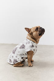 Cream Christmas Tree Matching Dog Coat