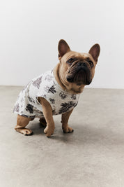 Cream Christmas Tree Matching Dog Coat