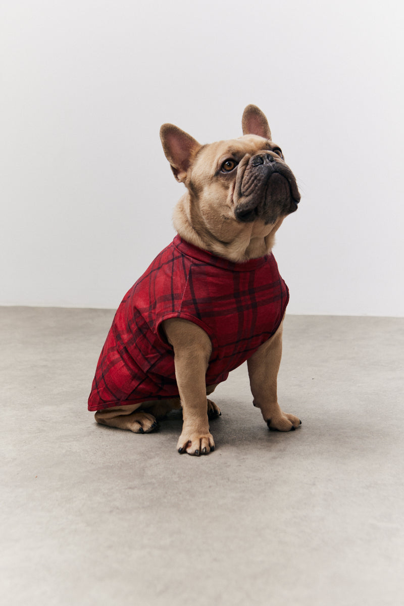 Red Checked Matching Dog Coat