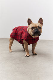 Red Checked Matching Dog Coat