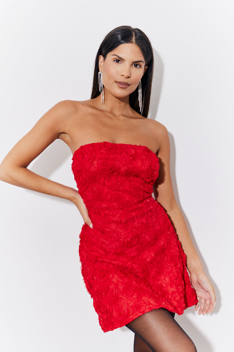 fitted lace wedding dress Red 3D Floral Bandeau Mini Dress – InTheStyle