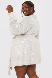 Silver Sequin Tie Drape Dress
