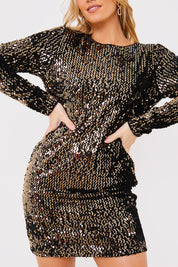 Velvet Sequin Mini Dress