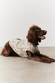 Dog Noel Print Pyjama