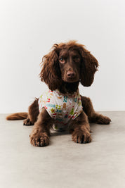 Dog Noel Print Pyjama