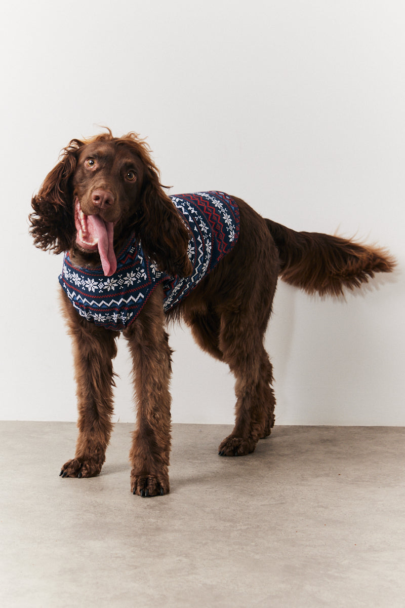 Dog Snowflake Print Pyjama