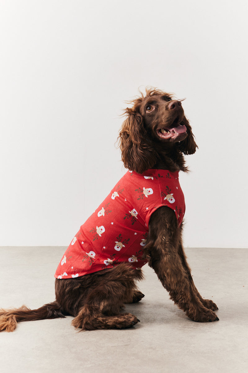 Dog Reindeer Print Pyjama