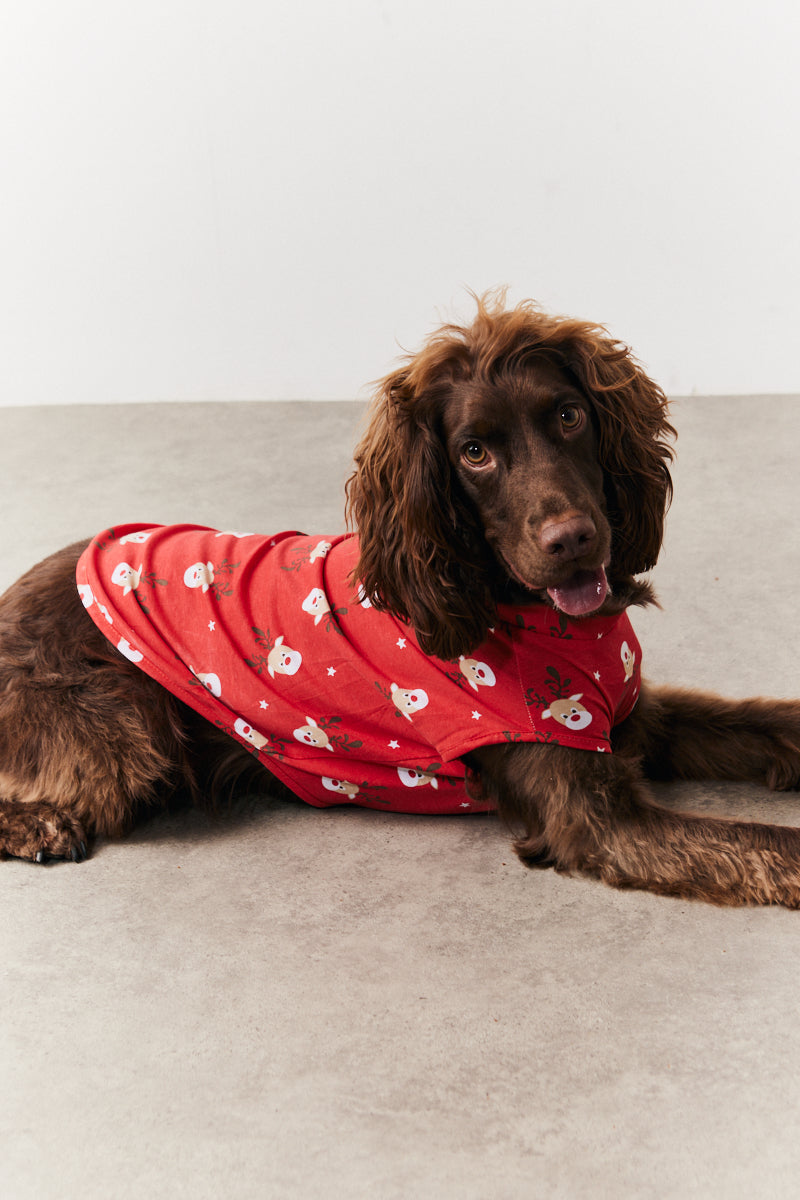 Dog Reindeer Print Pyjama
