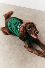 Dog Elf Print Pyjama