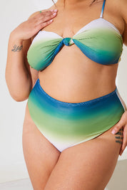 Ombre High Waisted Bikini Bottoms
