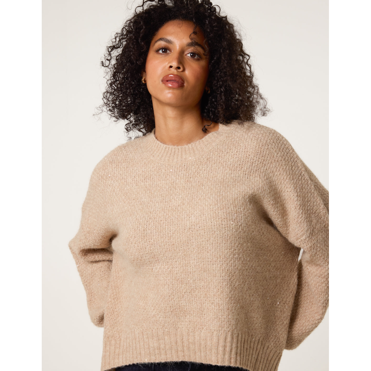 Round Neck Sequin Detailed Jumper