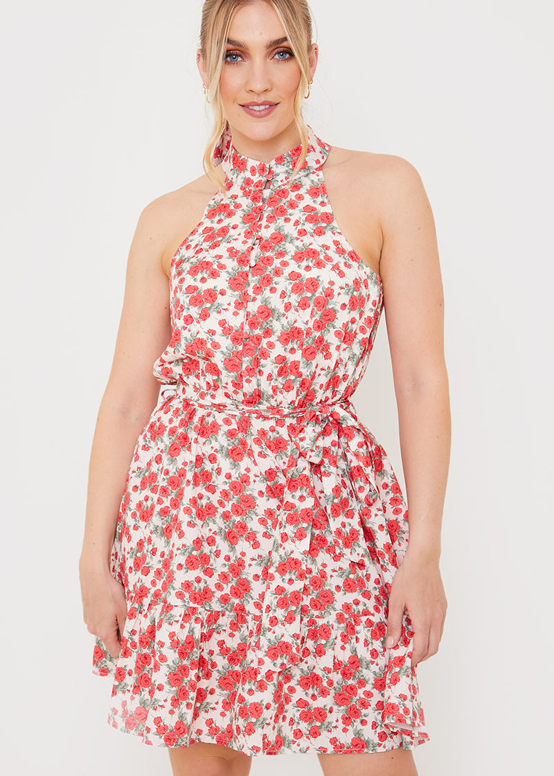 Polo In The Park Dress