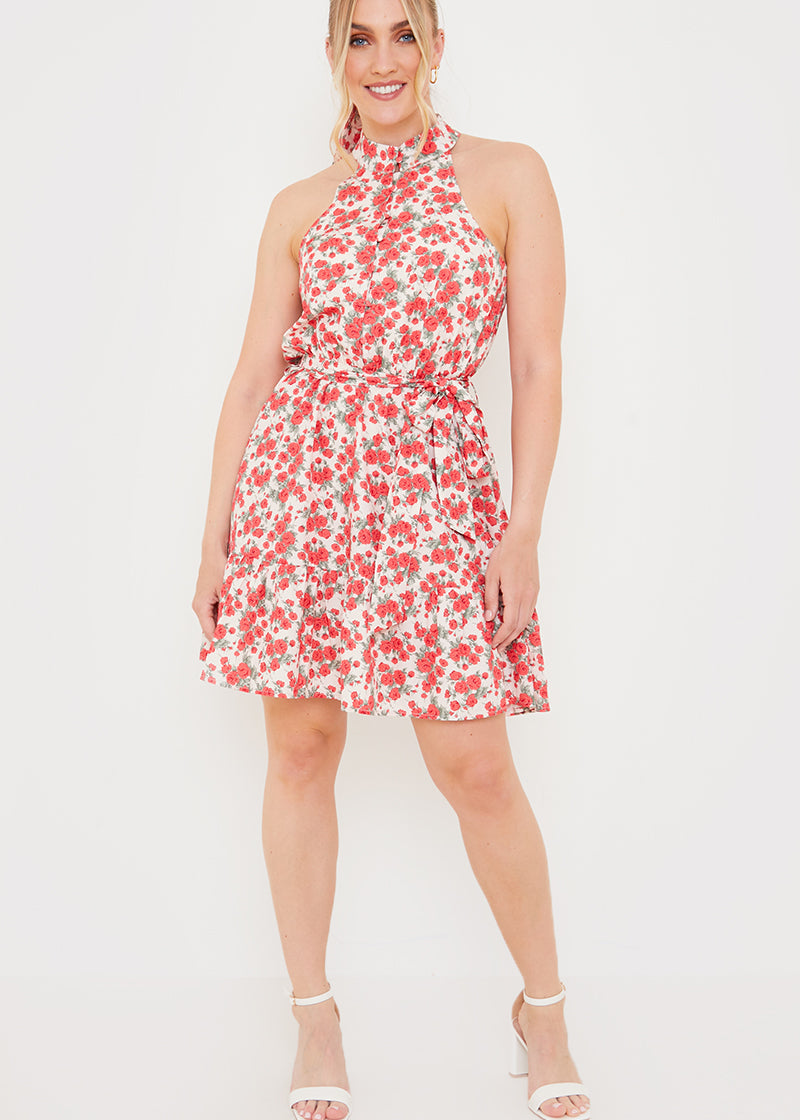 Polo In The Park Dress