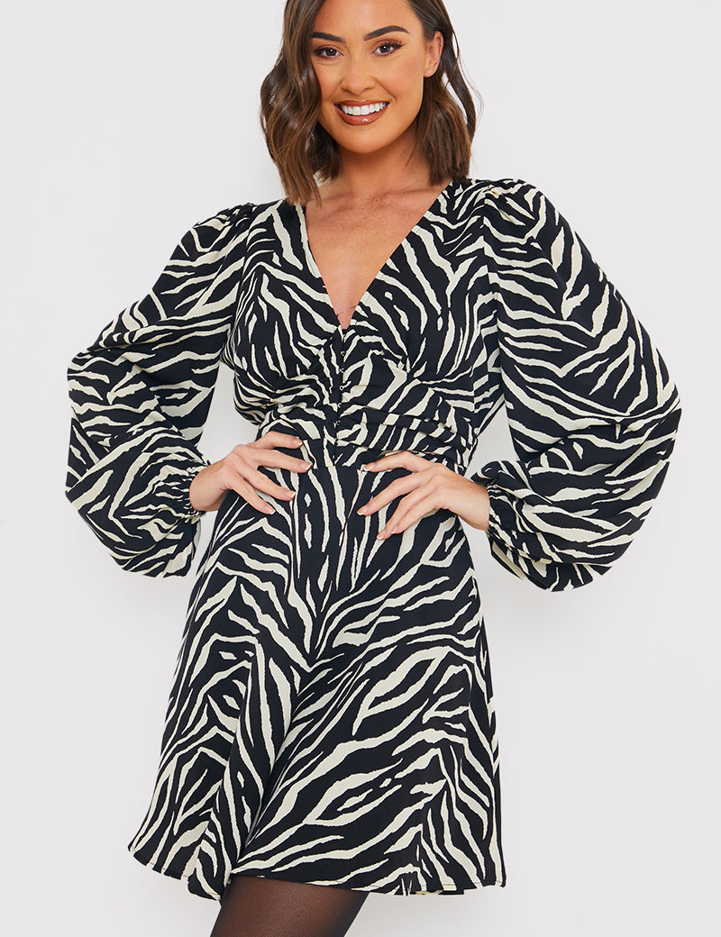 Zebra Woven Mini Dress