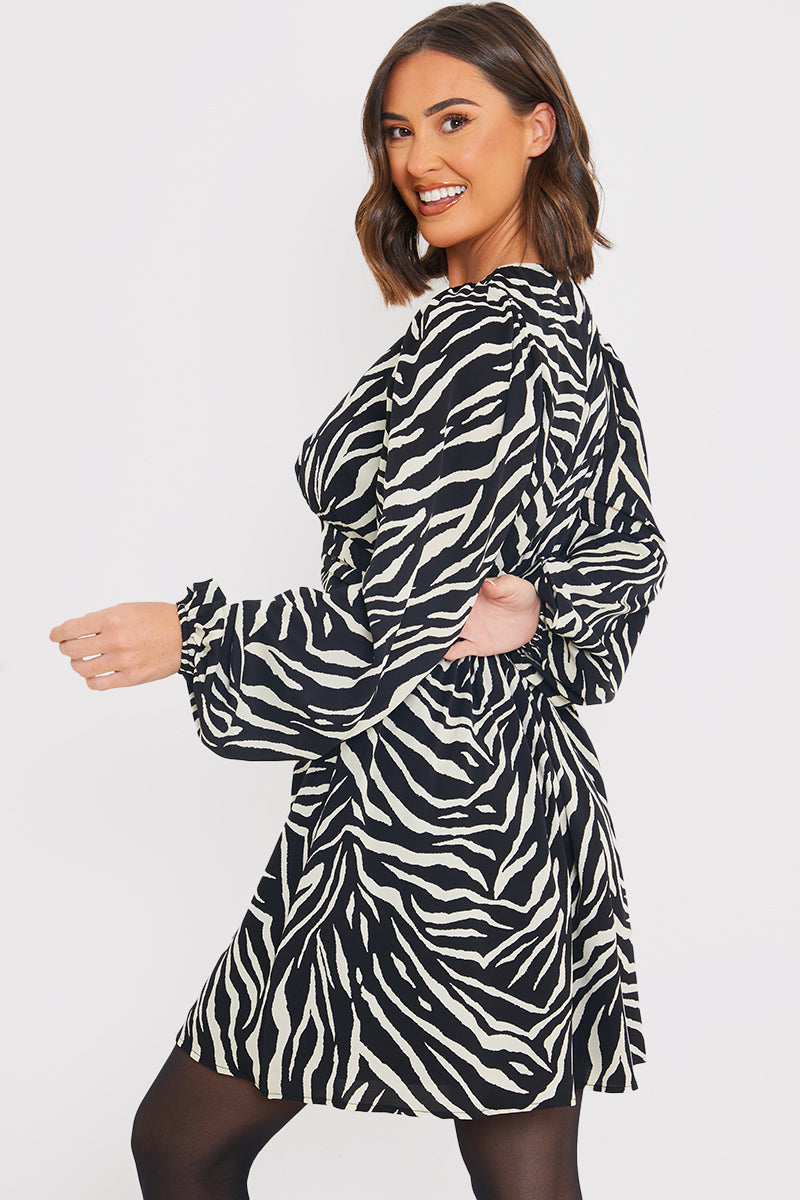 Zebra Woven Mini Dress
