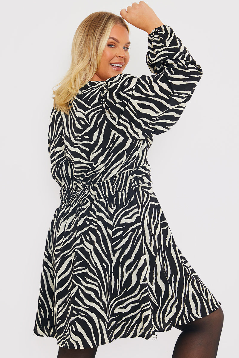Zebra Woven Mini Dress