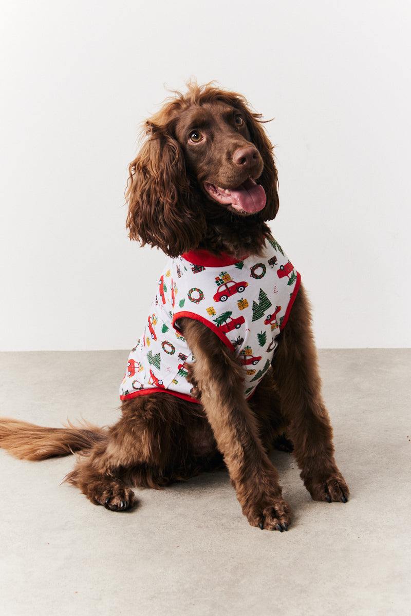 Dog Traditional Print Pyjama