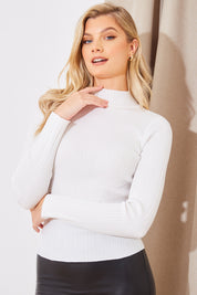 High Neck Variegated Rib Top