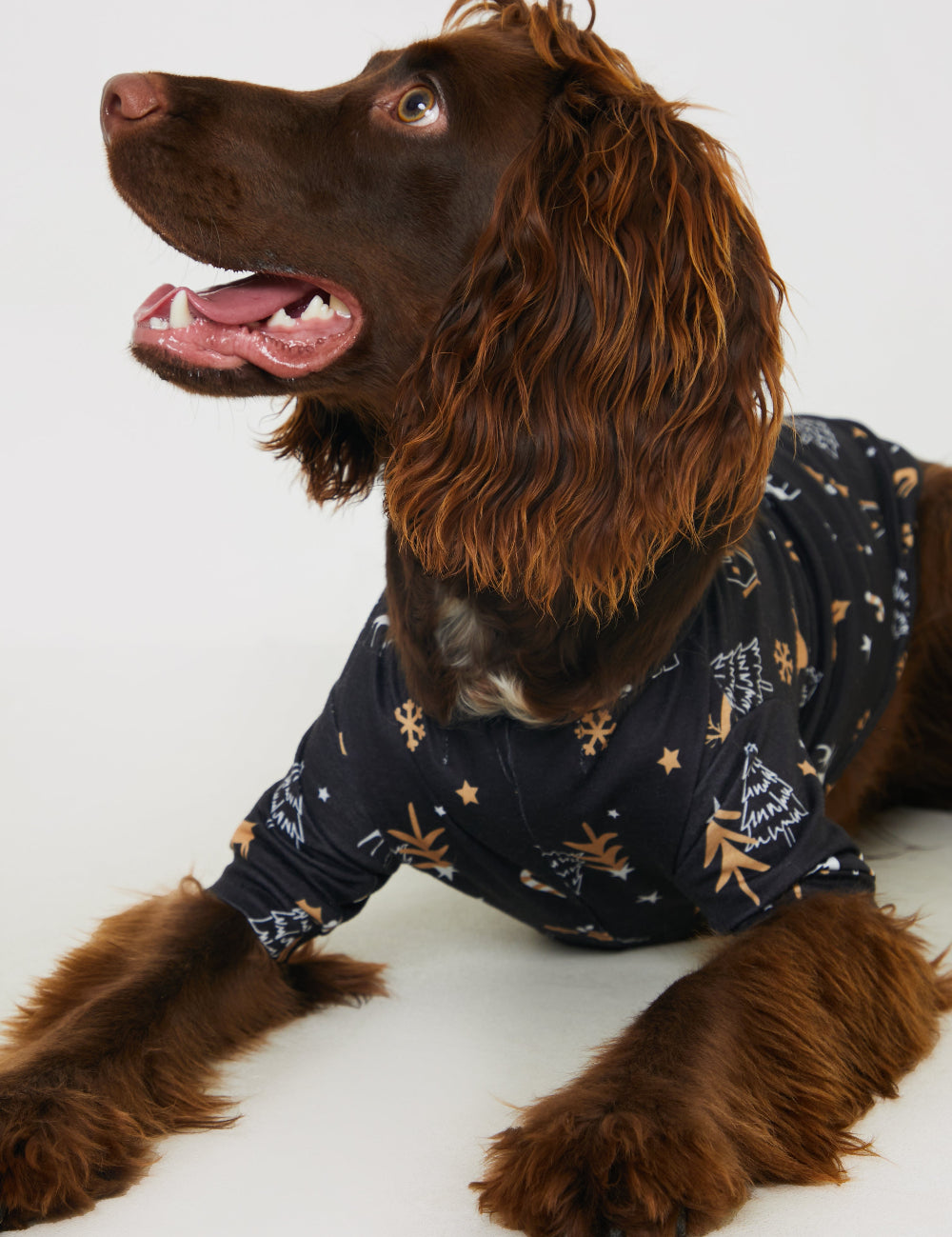 Christmas Tree Print Dog PJ