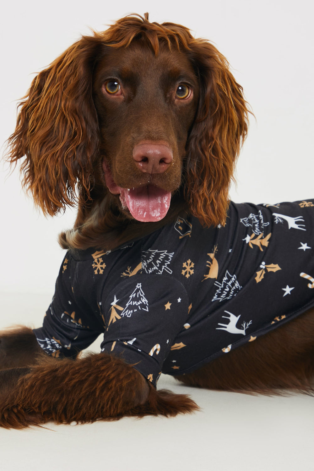 Christmas Tree Print Dog PJ