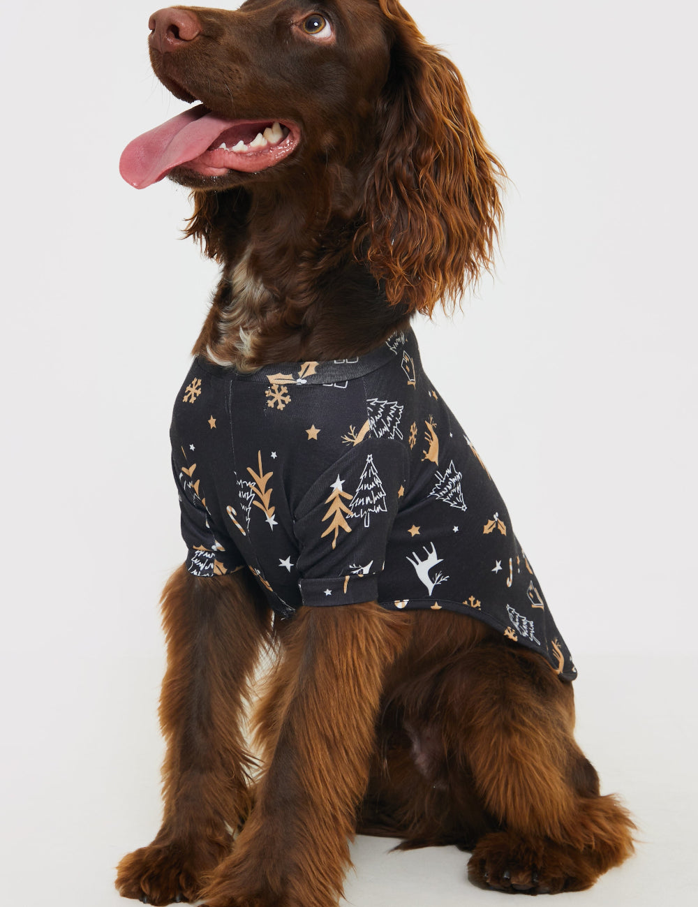 Christmas Tree Print Dog PJ