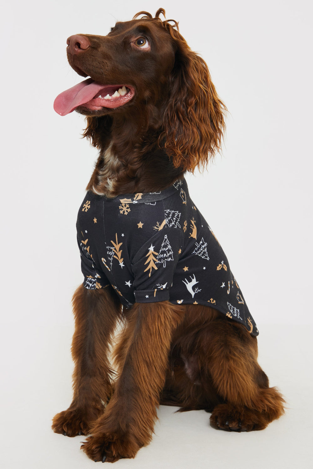 Christmas Tree Print Dog PJ