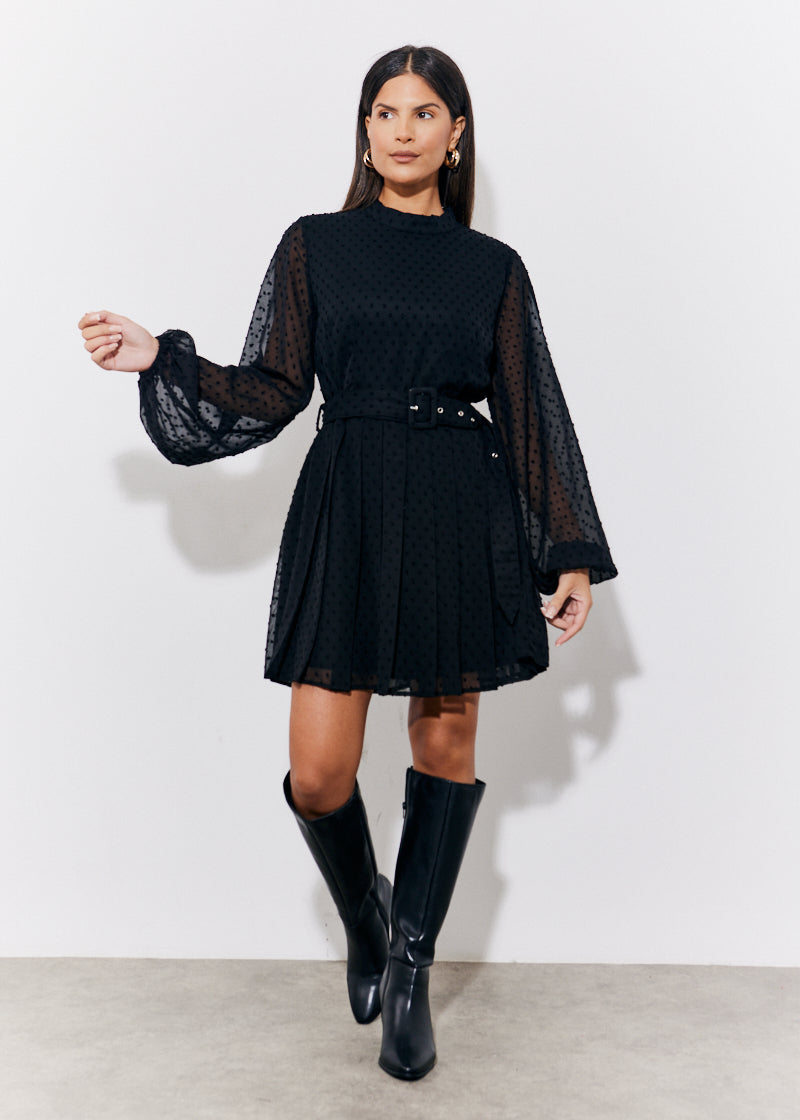 Black Dobby Belted Pleated Skater Dress