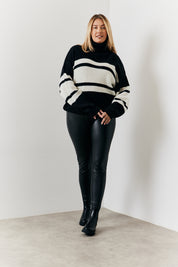 Stripe Roll Neck Knit Jumper