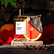 Terra Noir